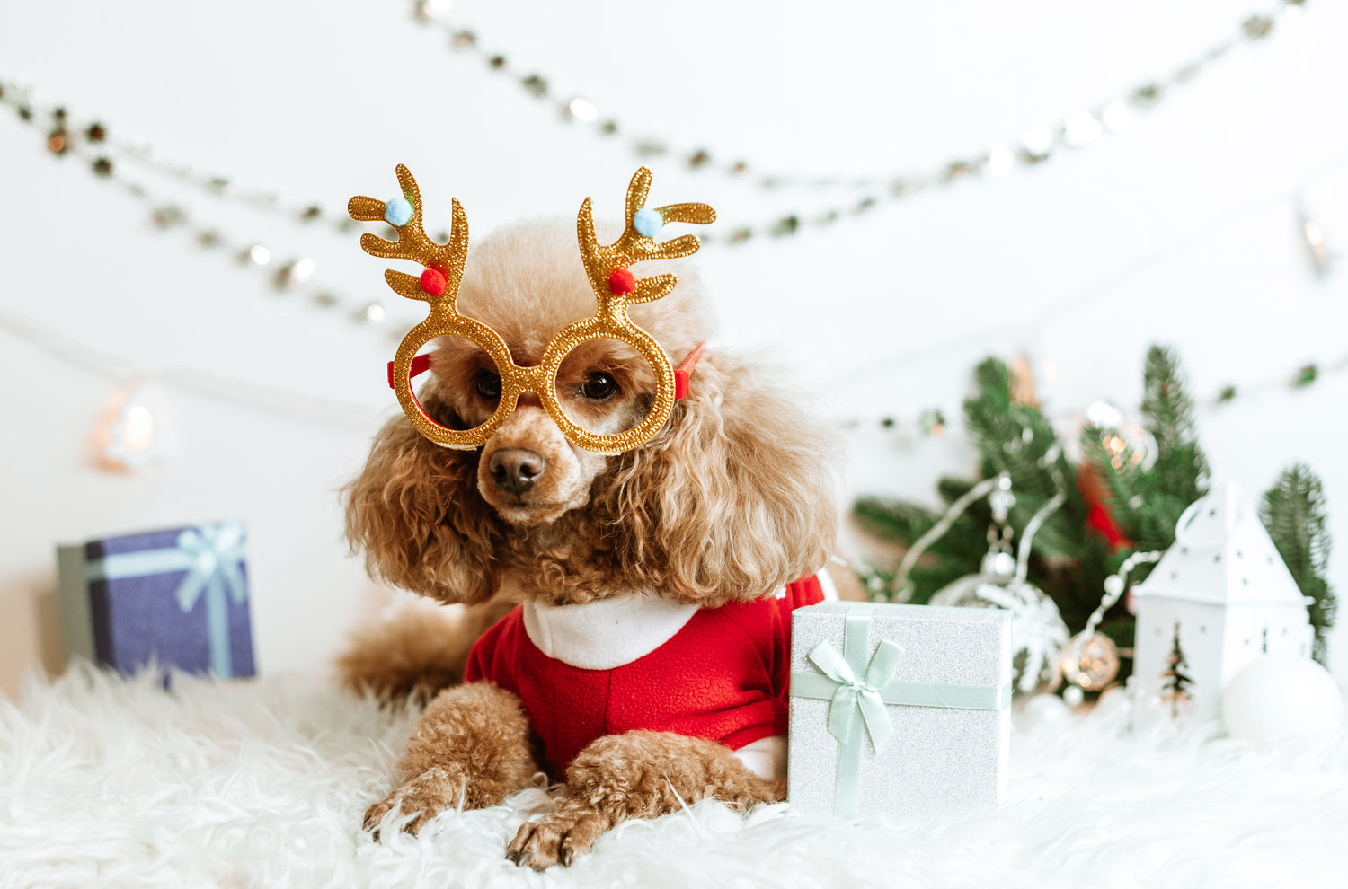 Christmas Gift List!!!