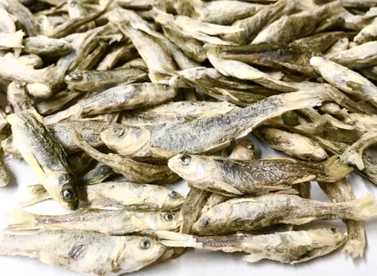 Minnows!